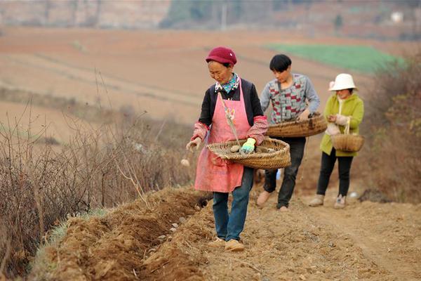 并赞赏拜仁，当差距胜一筹塔帅他们更该祝贺风度我们应很小时截图